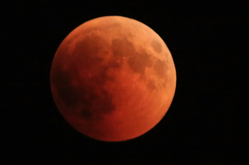 Illustration for article titled Así se vio el eclipse lunar total en distintos rincones del mundo